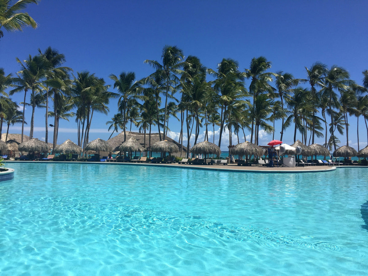 Piscina rodeada de palmeras frente al mar en Punta Cana