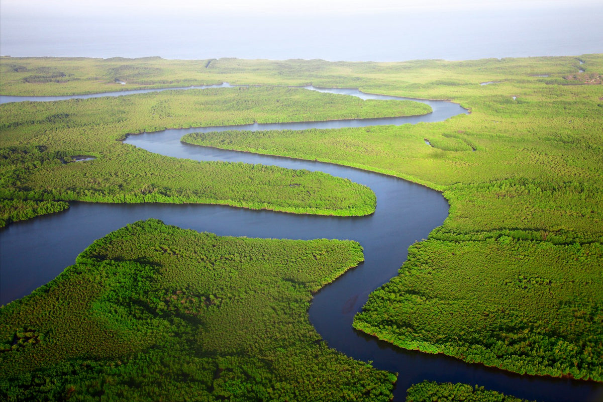 Manglares de los Everglades desde el aire