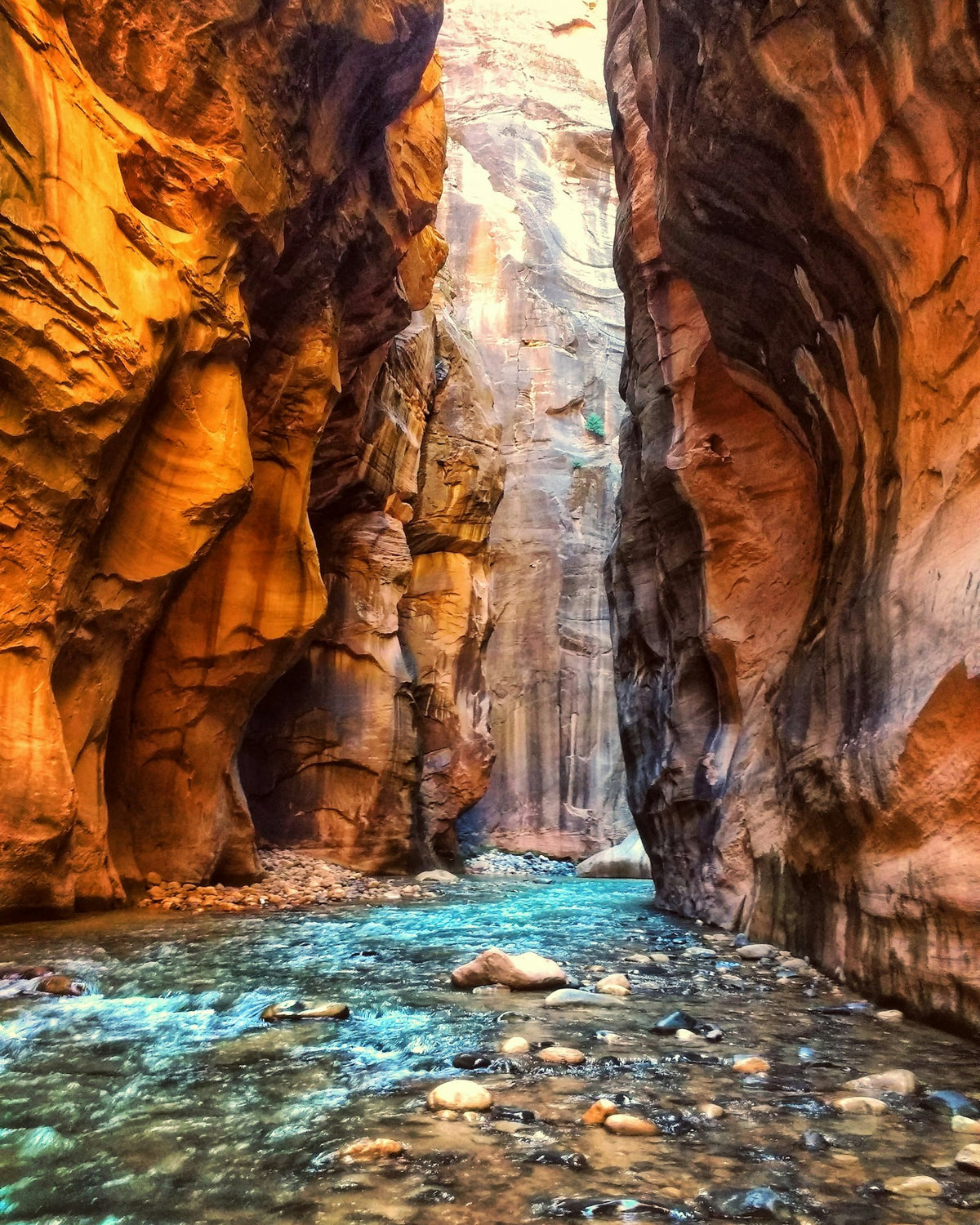 Río Virgin entre las paredes de Zion