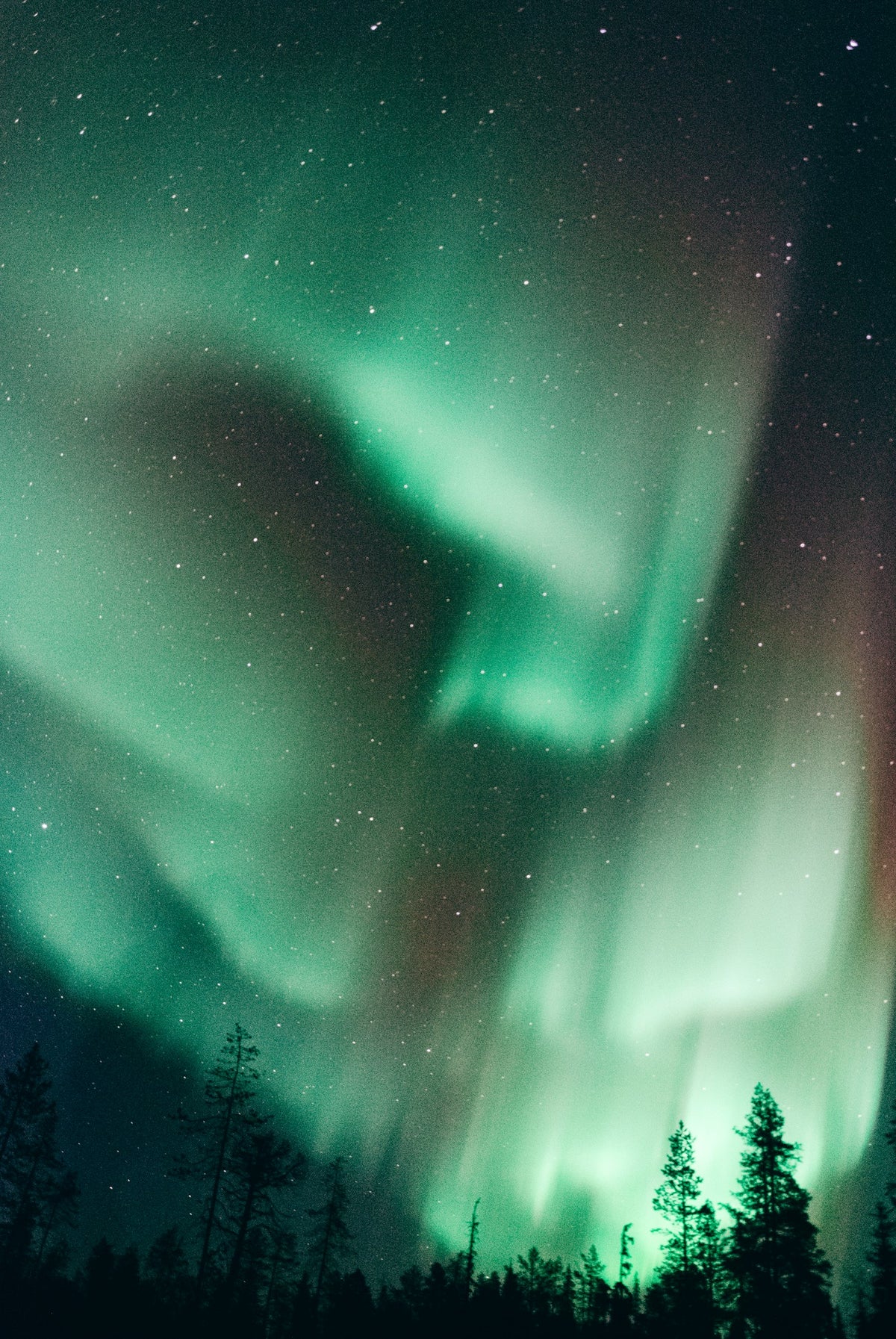 Aurora boreal en Ylläsjärvi, Laponia