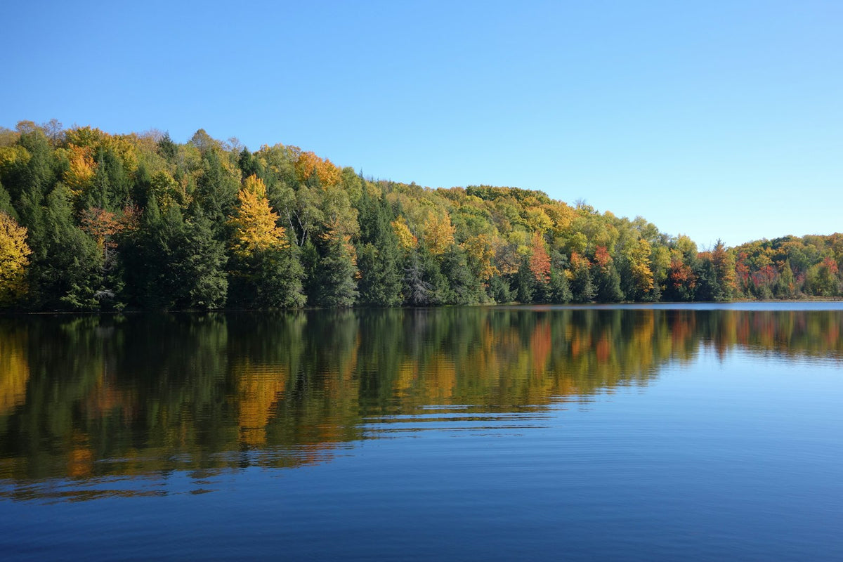 Wisconsin
