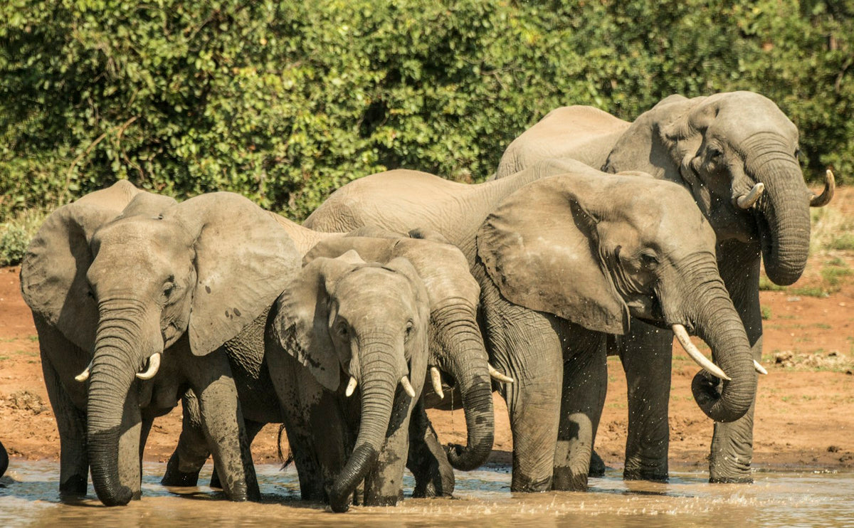 Sudáfrica