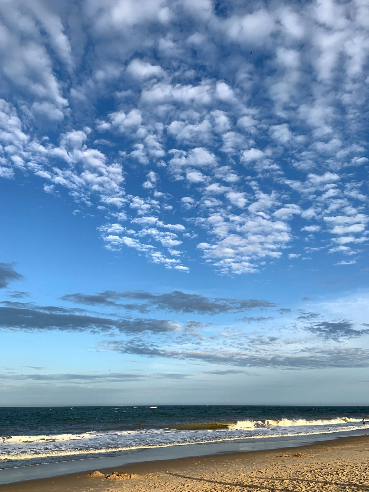 Delaware