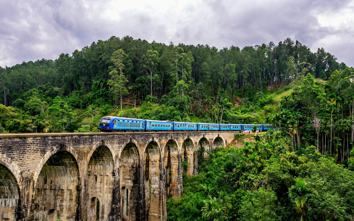Tren azul en el puente de los Nueve Arcos, Ella