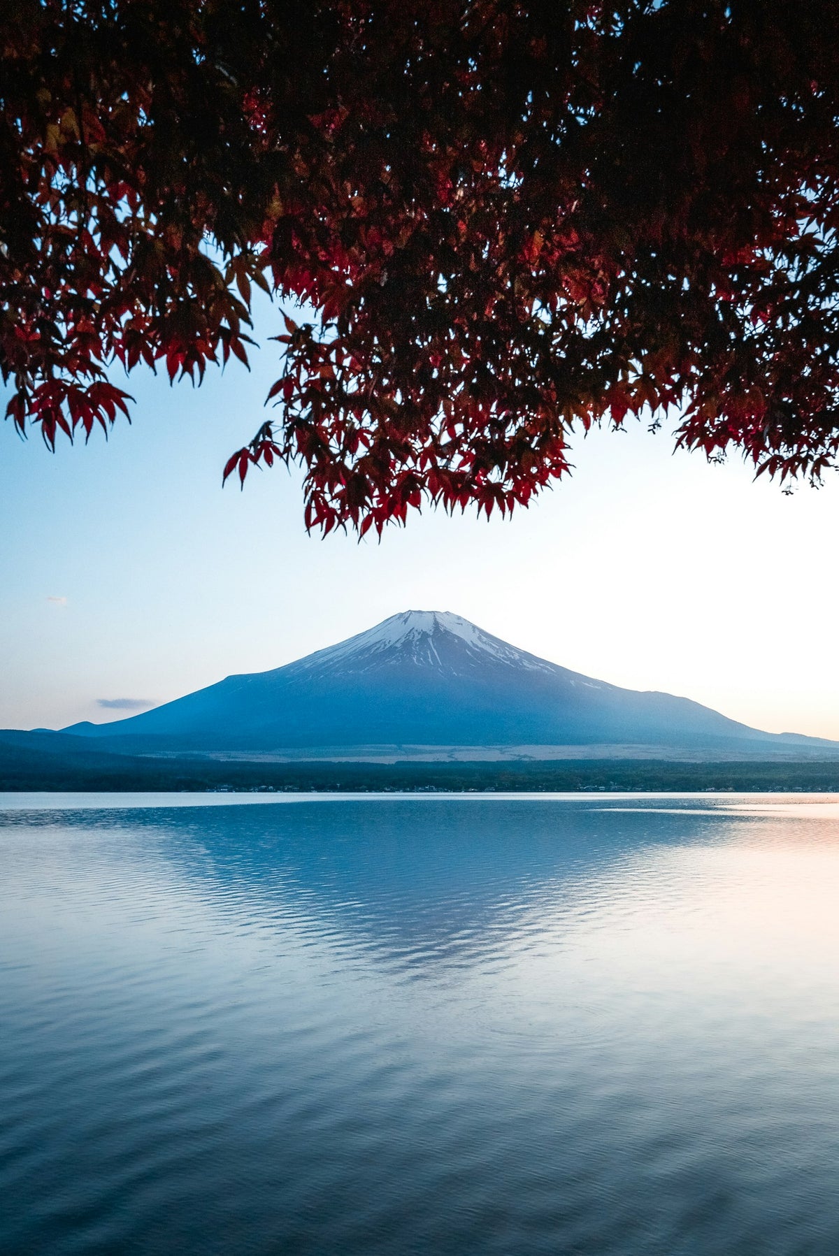 Japón
