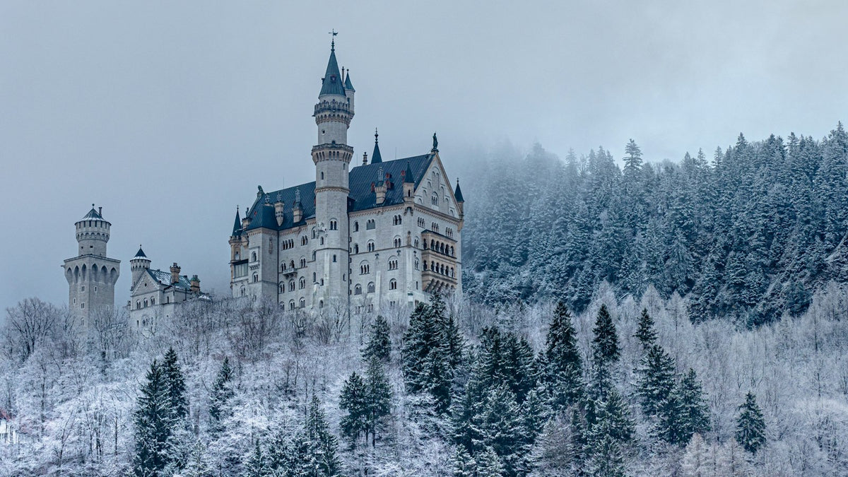 Castillo de Neuschwanstein entre bosques nevados