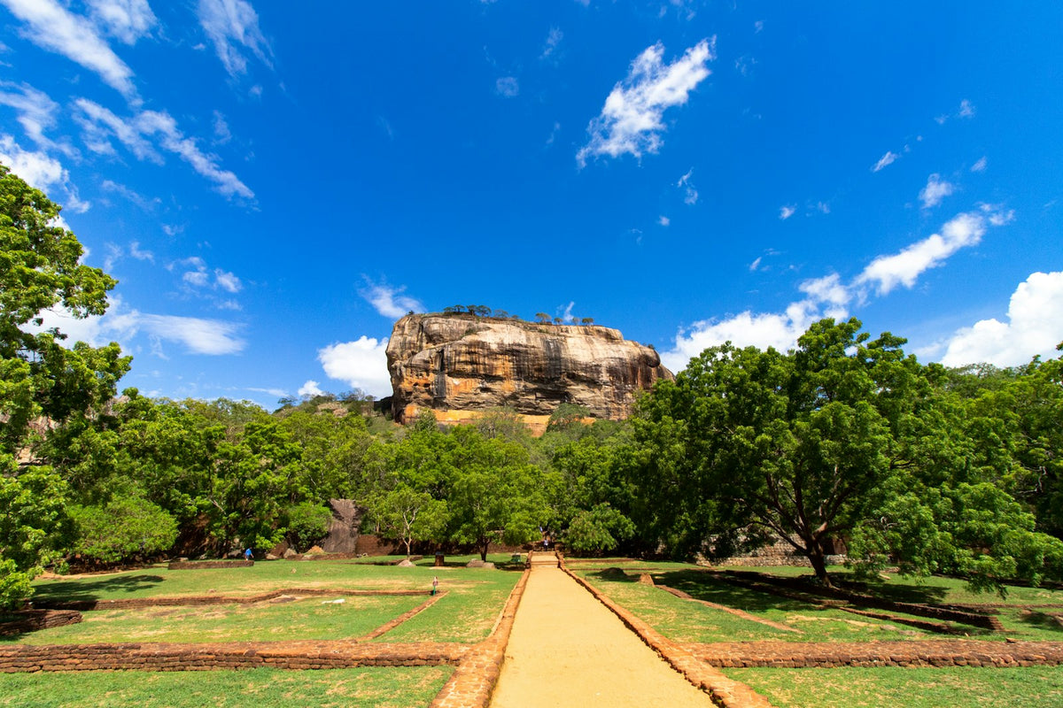 Camino hacia la roca de Sigiriya