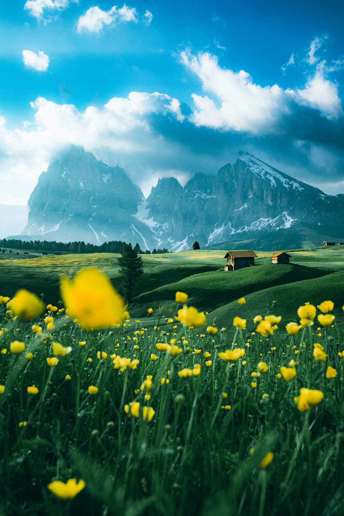Suiza