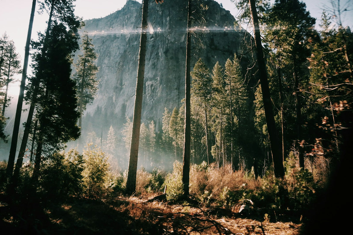Paredes de granito del valle de Yosemite