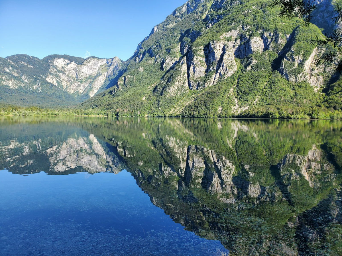 Reflejos en el lago Bohinj