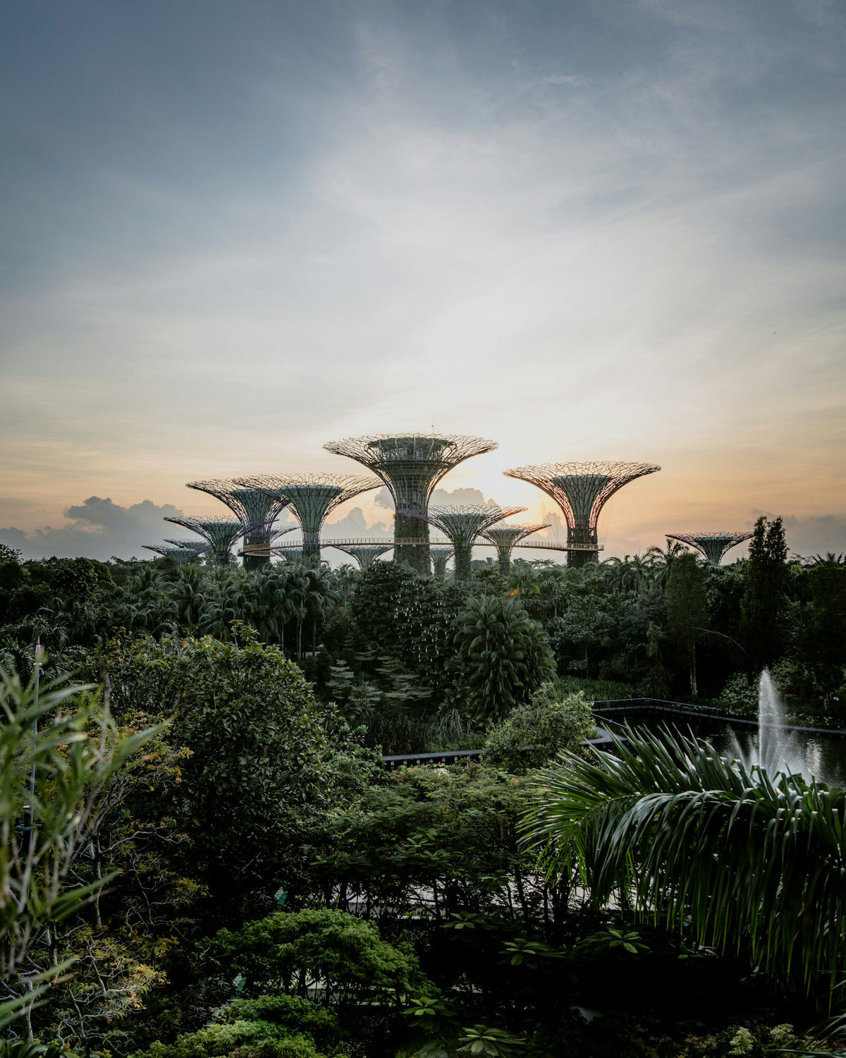 Superárboles de Gardens by the Bay