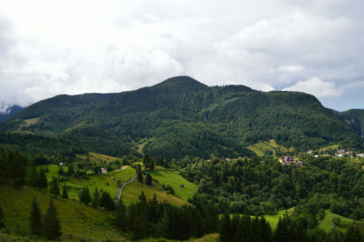 Montes Cárpatos verdes