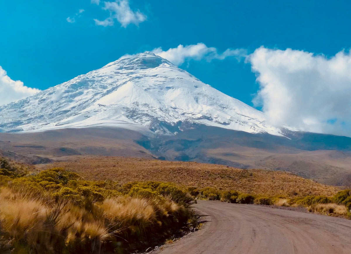 Volcán nevado de los Andes