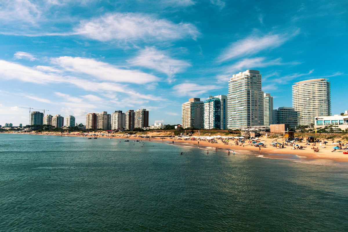 Rascacielos frente al mar