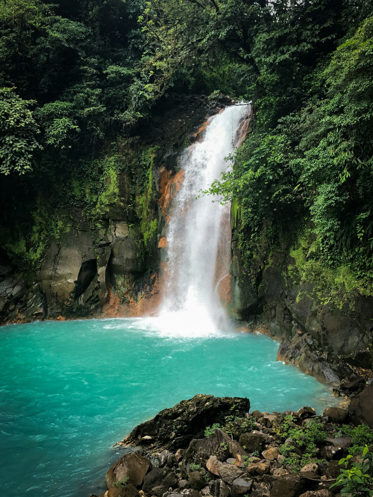 Cascada en la selva