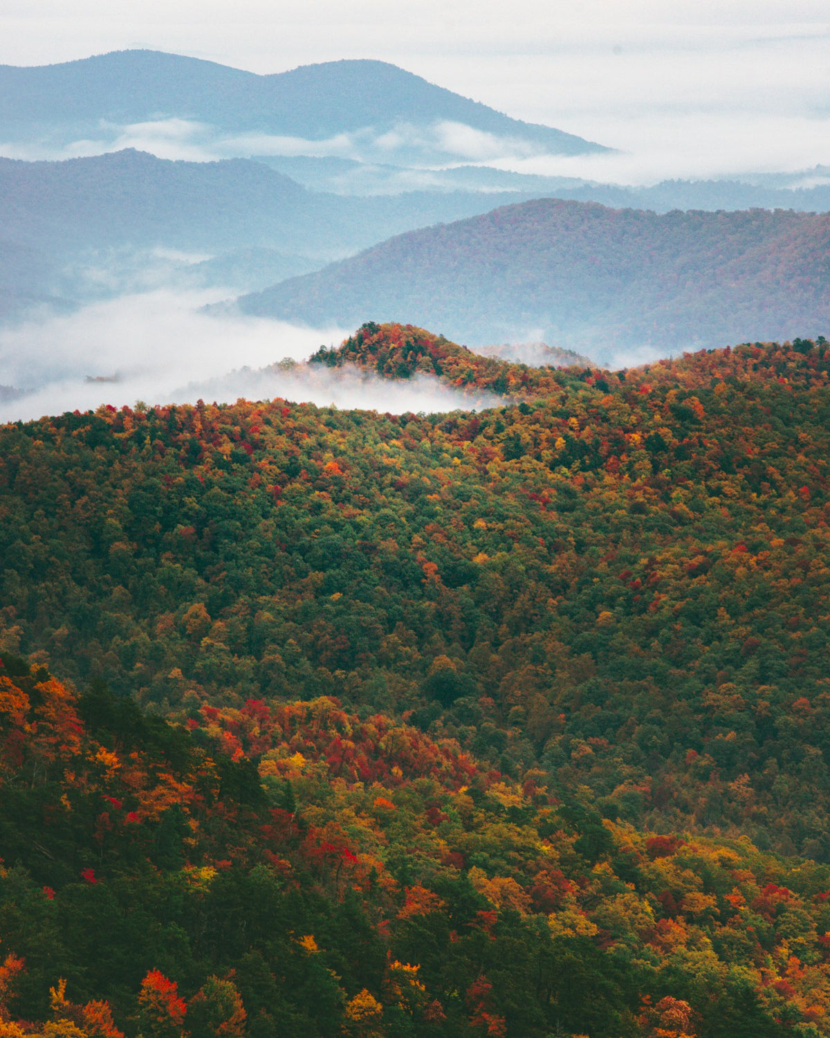 Great Smoky Mountains en otoño