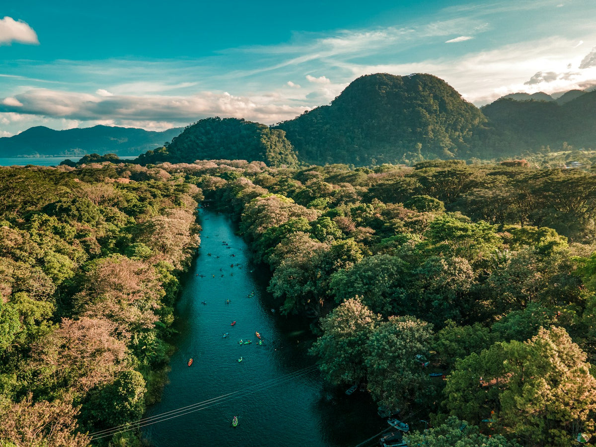 Río entre bosque tropical