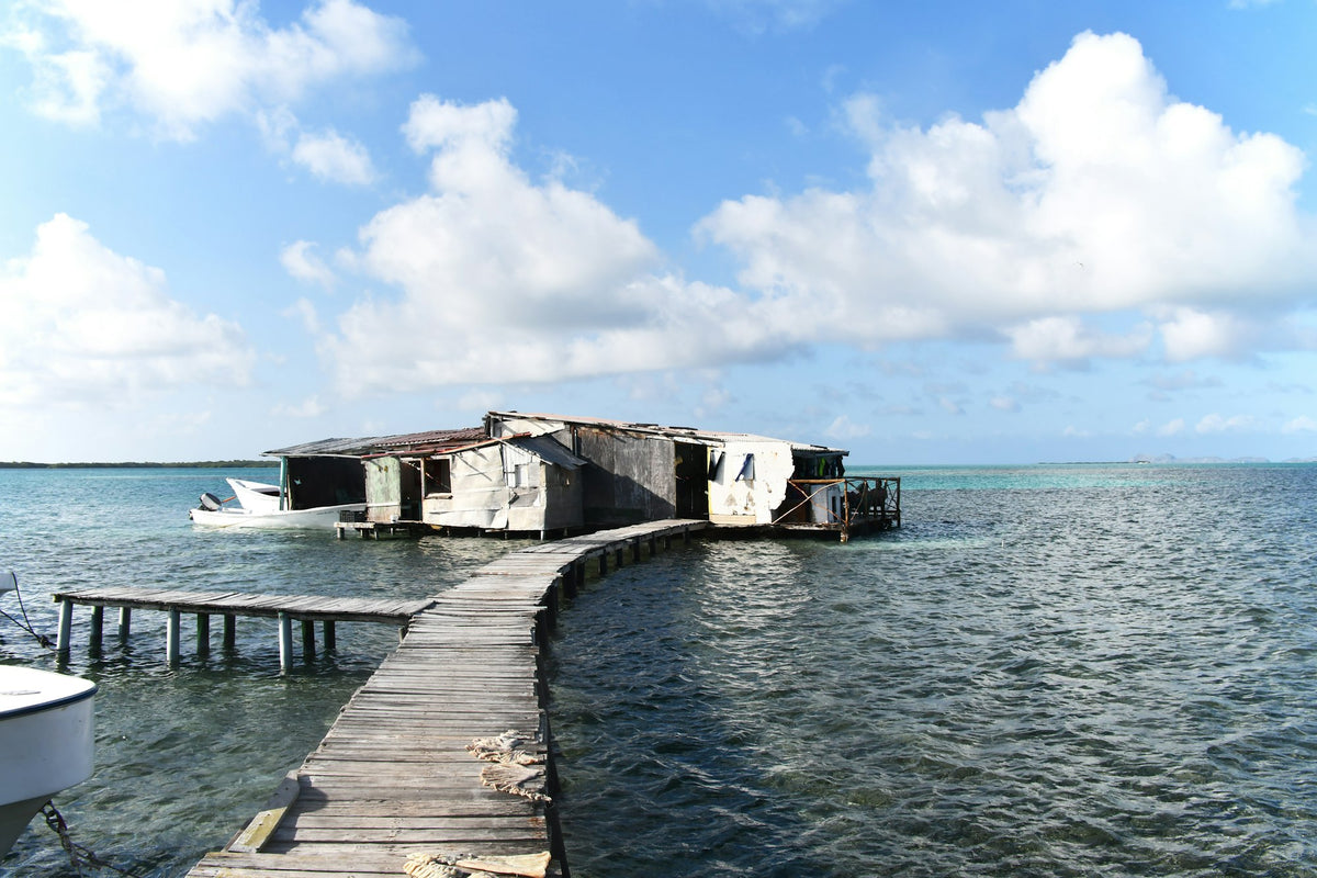 Muelle de madera sobre aguas turquesa en Los Roques