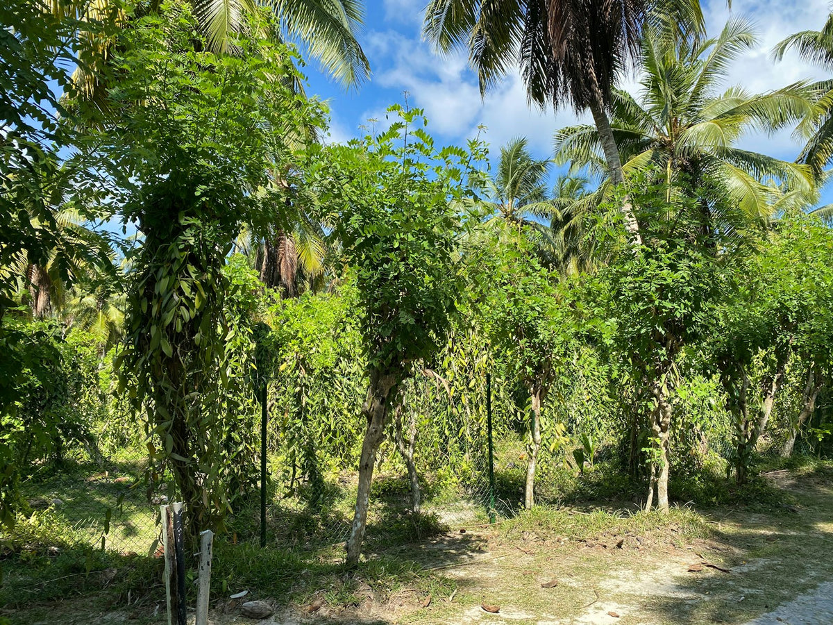 Seychelles