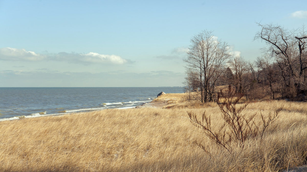 Costa del lago en Indiana Dunes