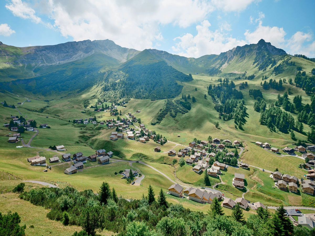 Paisaje alpino con casas y bosques