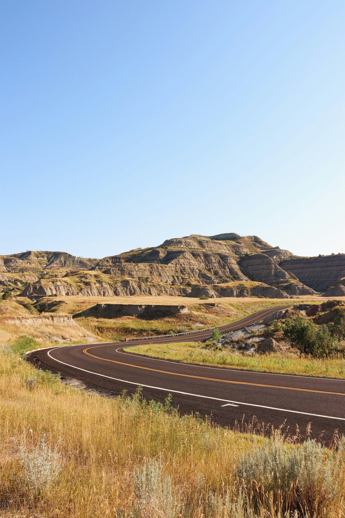 Carretera entre praderas del parque Theodore Roosevelt