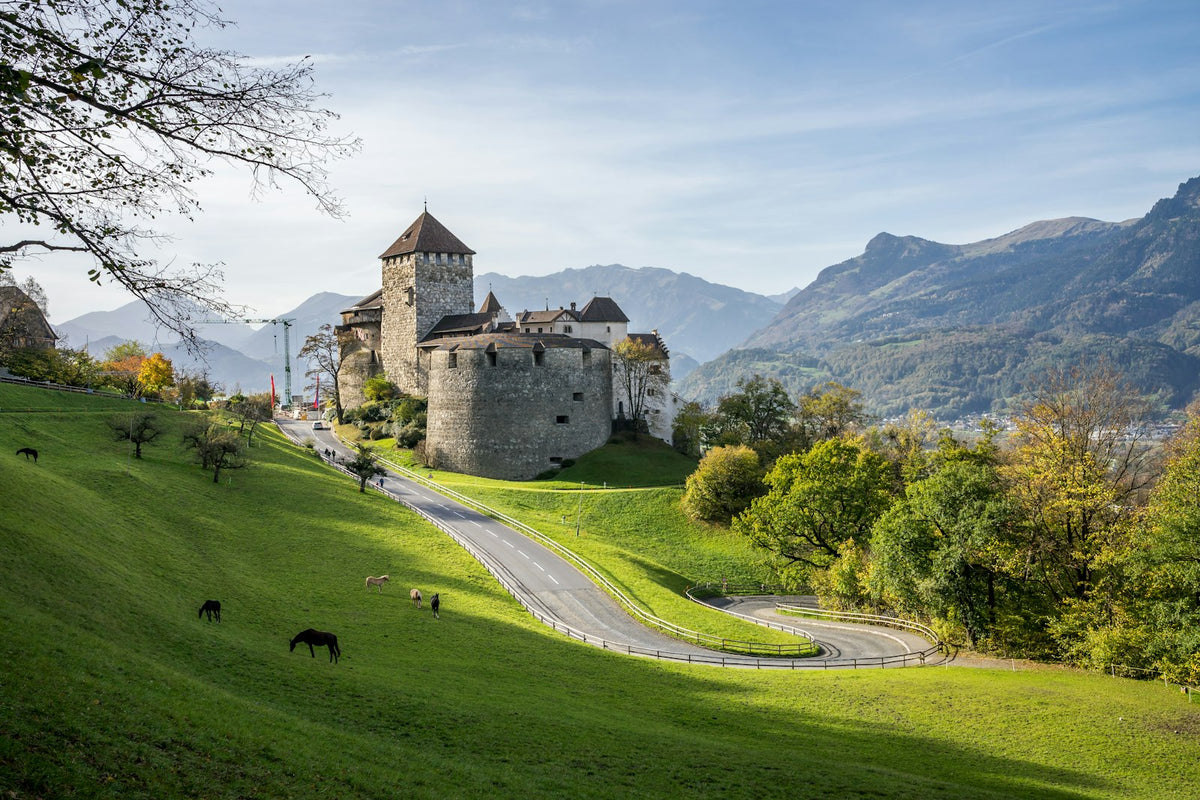 Castillo sobre una colina en Liechtenstein