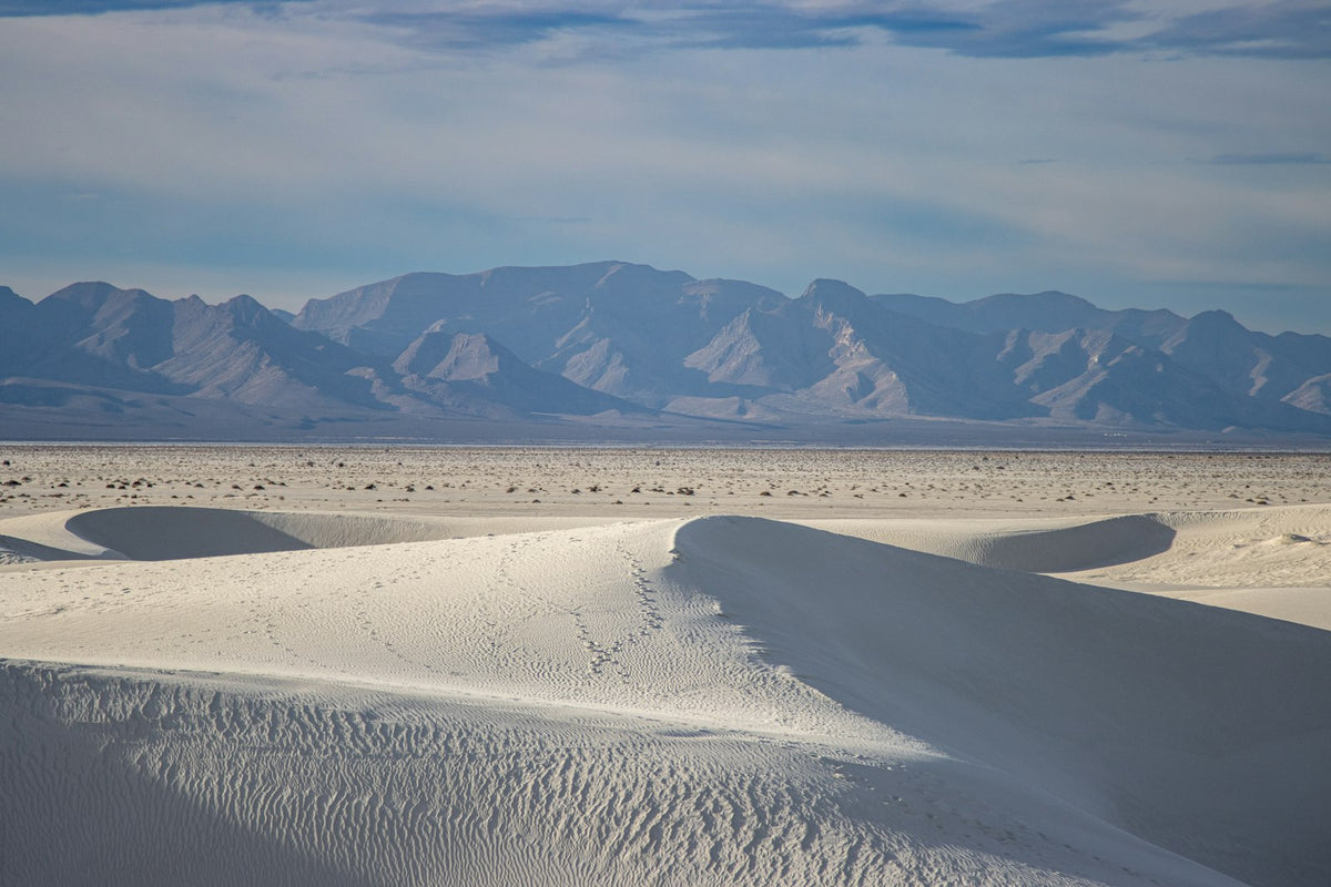 Dunas de yeso de White Sands