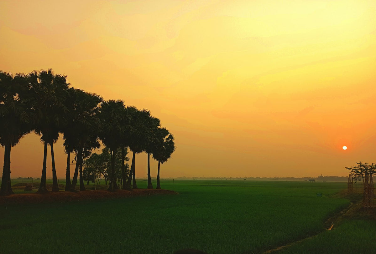 Bangladés