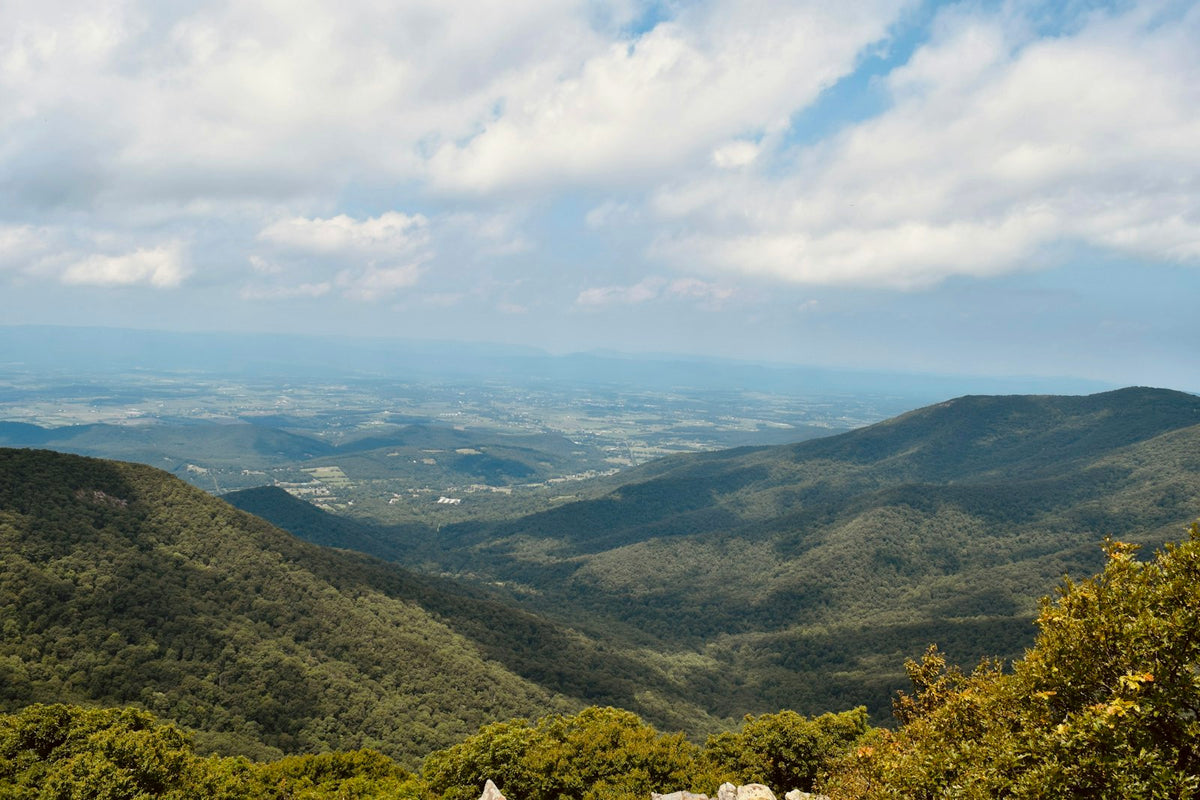 Virginia