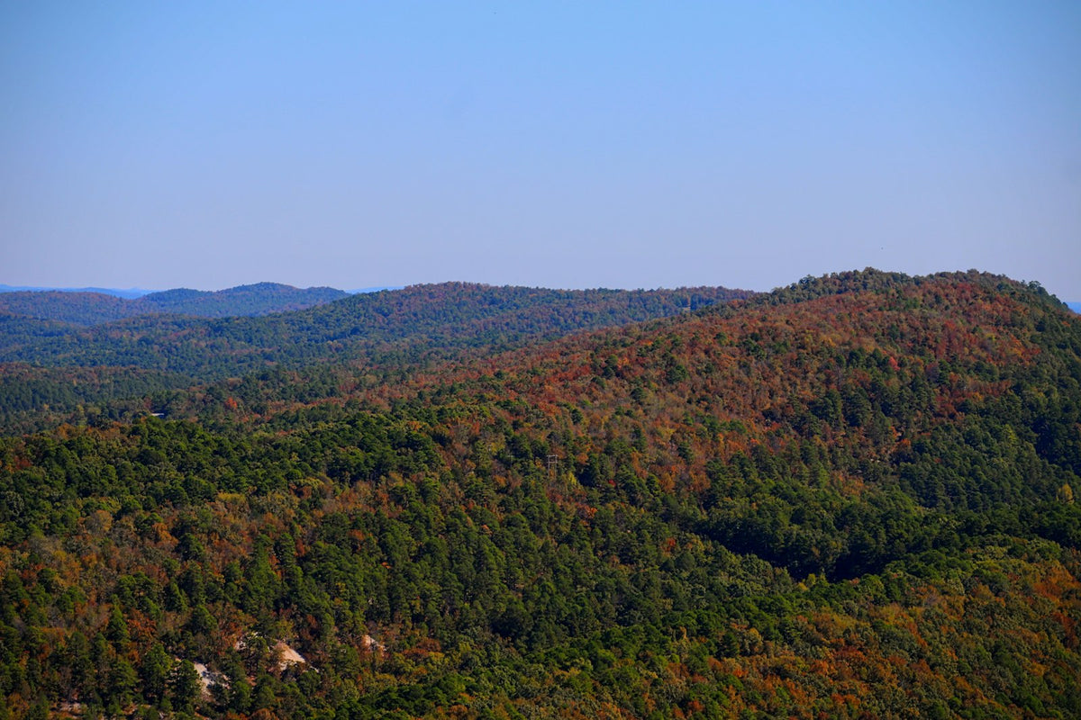 Montañas boscosas de Arkansas