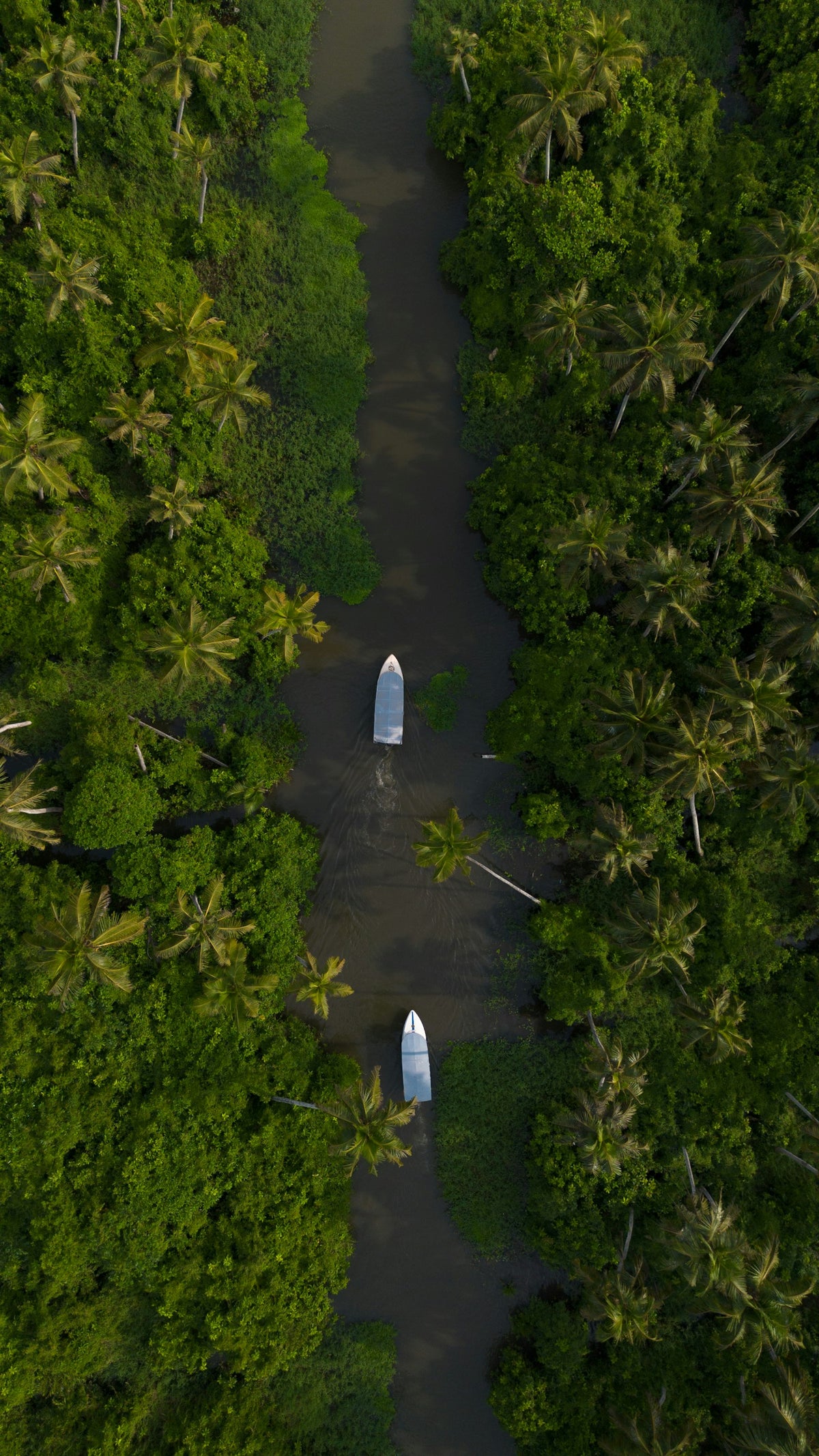Remansos de Kerala entre palmeras