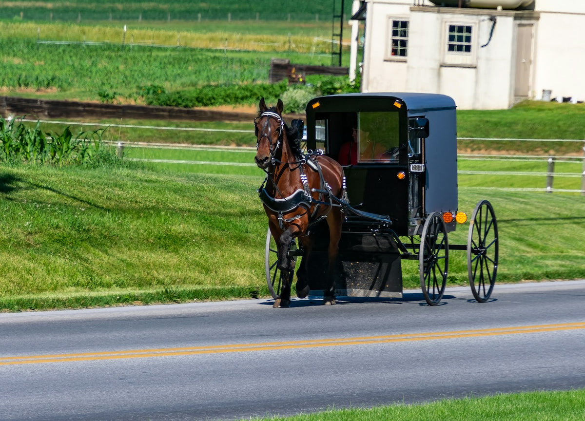 Carro amish en la campiña de Lancaster