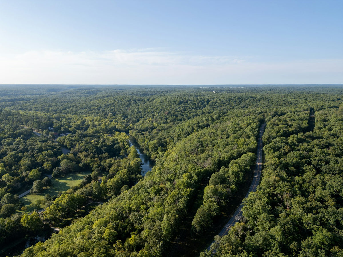 Ríos y bosques de los Ozarks