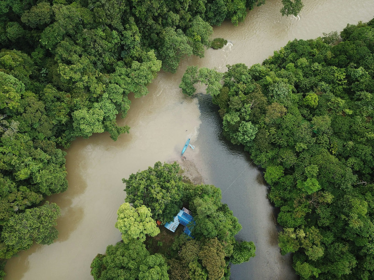 Río entre la selva de Borneo