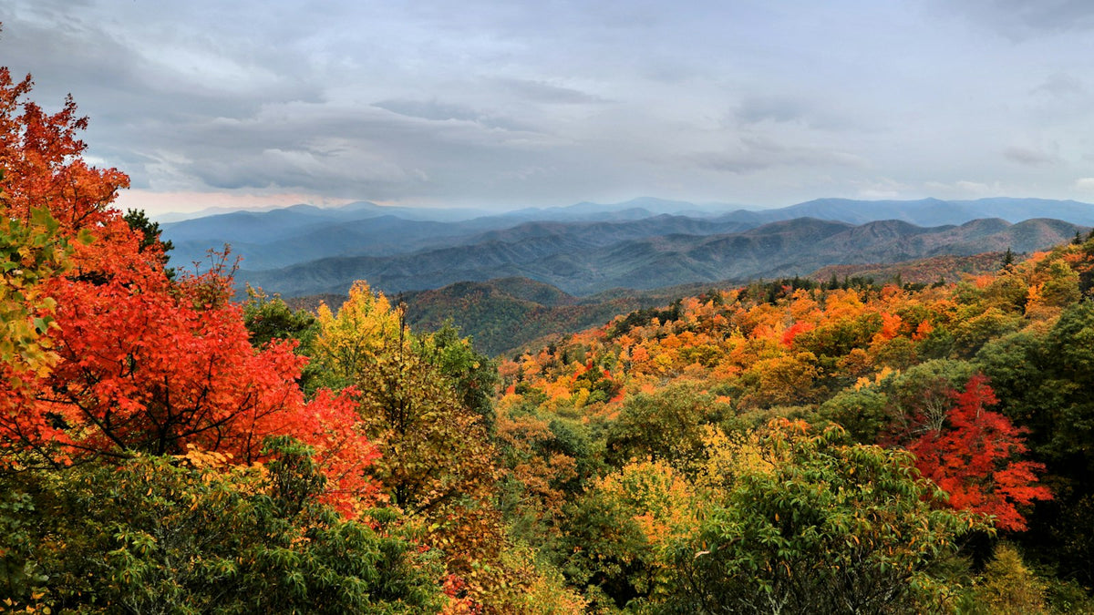 Montañas Blue Ridge en otoño