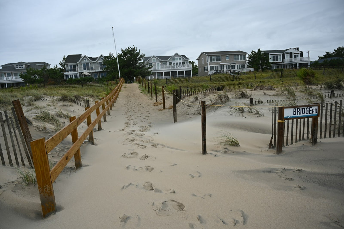 Sendero entre dunas hacia la costa de Delaware