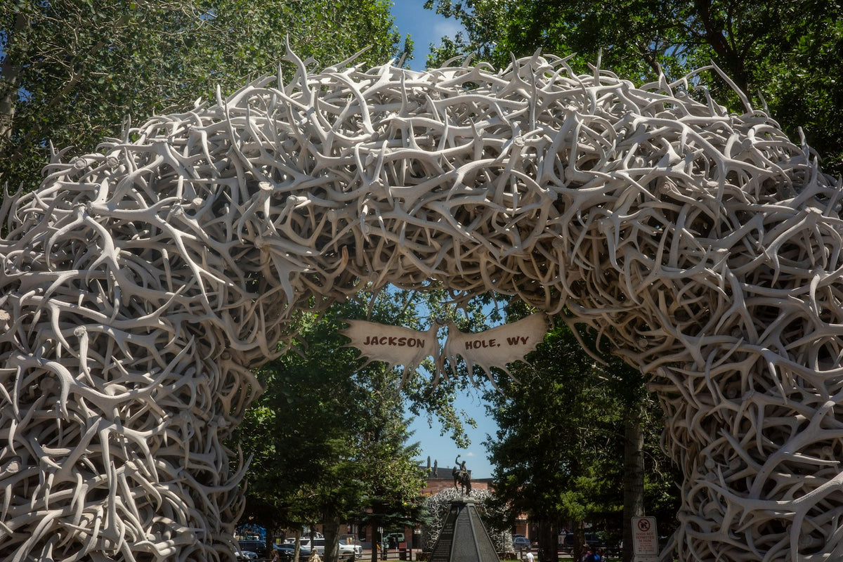 Arco de astas de alce en Jackson Hole
