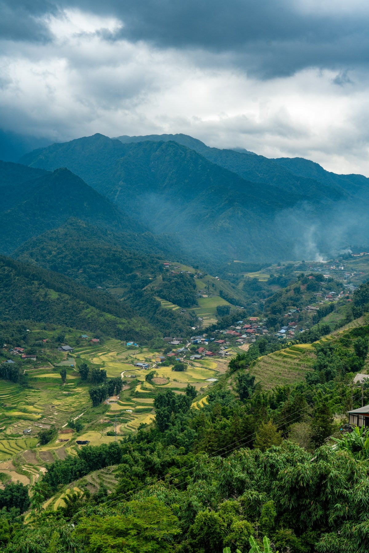 Terrazas de arroz en el valle de Sapa